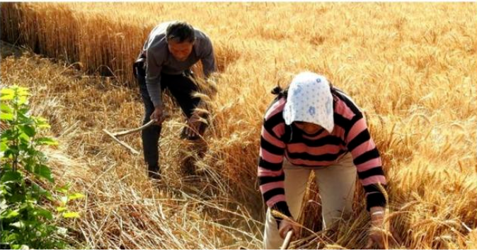 1654144068100242.png 微信截图_20220602122645.png