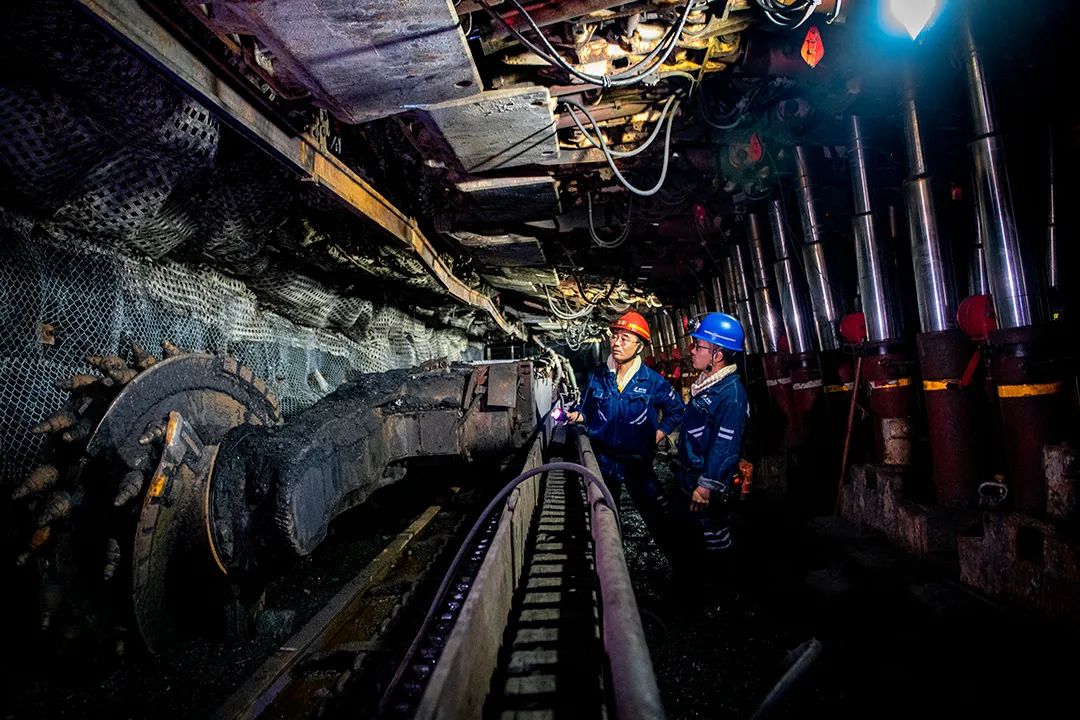 1736816525128755.jpg 0006.jpg