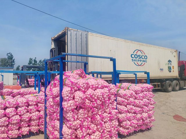 龙拱港开通冷链外贸业务铁路发运新通道